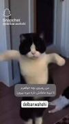 تاحالا کدوم فالویر من اینجوری کرده اعلام حضور کنید پلشا🤣