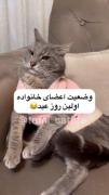 آخی آخری سلطان غم پادر همش اول واسه فرزنداش میخاد
