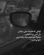 دلای مهربون خوشبختی رو کمتر تجربه کردن..:)