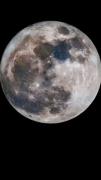 my moon🤍:)))................. 