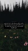 تا حالا شده؟ 