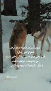 انگیزشی بی تفاوت تنهایی غمگین جدایی