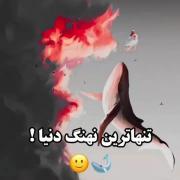 𝑻𝒉𝒆 𝒍𝒐𝒏𝒆𝒍𝒊𝒆𝒔𝒕 𝒘𝒉𝒂𝒍𝒆 (𝟓𝟐 𝑯𝒛 𝒘𝒉𝒂𝒍𝒆)