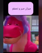 میزان صبر و تحمل و وضعیت اعصابم به روایت تصویر😂: