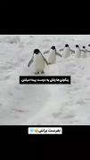میشهههههههههه ؟؟؟؟؟؟؟؟؟؟؟؟؟؟🥲💔