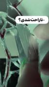 کلیپ غمگین مناسب برای استوری:):