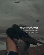 عاشقانه ی غمگین برای کسانی که دلشون شکسته است..... 