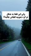 جنگل بیجاریم در ججو کره جنوبی 