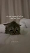 به بغلت نیاز دارم(: 