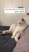 واقعا مامانه منم اینطوریه😂😂😅