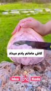 نکات خانه داری درمورد میوه ها.