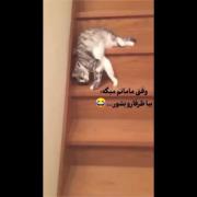من وقتی میخوام برم ظرف بشورم 😂 