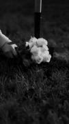 مَن اون منِ قَدیمی نیستَم..!:) 