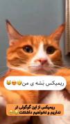 ریمیکسـ بَشه ی من ه . اخه گوگولی تر از این داریم ما؟