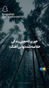 گاهی باهر سازی که زدن بساز