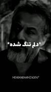  گر گرگ را محبت کنی رام میشود انسان را محبت کنی هار میشود🖤-:)