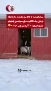 حس خوب با ببعی......................🍷🖤🙂
