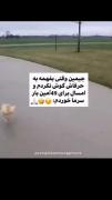 جیمین وقتی بفهمه ب حرفش گوش ندادم😂