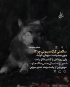 《...........‌‌‌‌‌‌‌‌‌‌‌‌‌‌‌‌‌‌‌‌‌‌معرفت`گرگ》