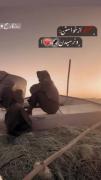 تا توانی بخند اینجا دنیا دیگر جای زندگی نیس