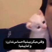 پیشییییی کیوتتتتتتتتتتتتتت☆▪︎▪︎☆▪︎▪︎▪︎