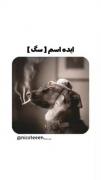ایده اسم سگ خعلیی خوبعععع >>> 🐾🐩🐕