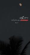 مار‌هرچه‌زیباتر‌نیش‌آن‌کشنده‌تر...🖤