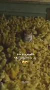 وقتی توبه کردی و خدا داره امتحانت میکنه.