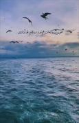 و آخرین پروانه ات هم مرد تو آزادی دگر .....