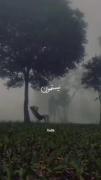 ............❤️⛓️🦋............: