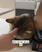...............................!