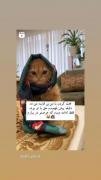 حق_مظلوم _گوبه_مود_اصبی_کیوت_♡