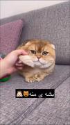 `ملوس؛ جونم بشه منه `❤️‍🔥❤️💋