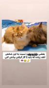 دوست دارم اینطور گازت بگیرم 😋😋😂