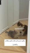 وقتی دارم براش خط نشون میکشم..