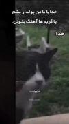 وای قداااااااااااااااااااااااااا