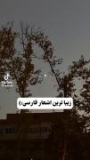اشعار فارسی>>>>>>>>>>>>>🛐🛐🛐