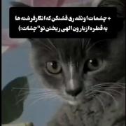 بفرست برای کسی که زیبا ترین چشم ها رو داره😊✨
