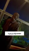 اصلا نشد و نمیتونی تو کتم نمیره..! 