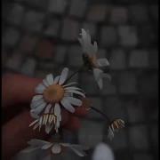گَلَک هَژ تَ دِکََم خِیالا هَر شَوا مِنی 