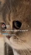 اگه خودتو دوست نداری میشه بدیش بمن🥺❤