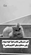 وقتی مقصر دعوا بودم اما منتظر بودم تو نازمو بکشی