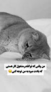 وقتی یادت میره بهم توجه کنی: 