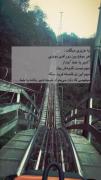 هروقت گیر کردی شیر یا خط بنداز چون.... 