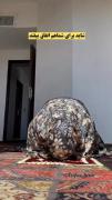 واییی قشنگ میشه حسش کرد وای جر🤣