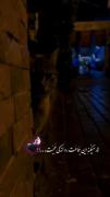 فقط🤏اندکی محبت،،،___ـ-ـ___&❄️