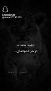 متفاوت های خانواده کامنت کنید.