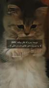 دوست پسرم ک فکر میکنه یه دوست دختر...😂🫠