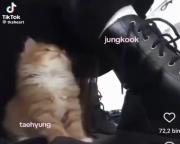 چرا این دوتا کنار هم انقدر قشنگن:))))🥲🤍