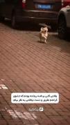 وقتی کلی برنامه ریخته بودم برای جلو کراشم😂